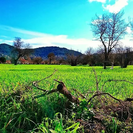 호텔 Utopia 카야코이