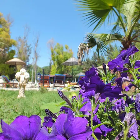Utopia 5* Oludeniz