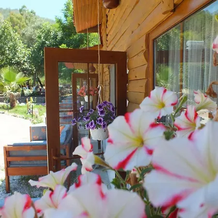 Utopia Hotel