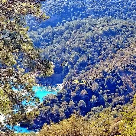 Utopia 5*